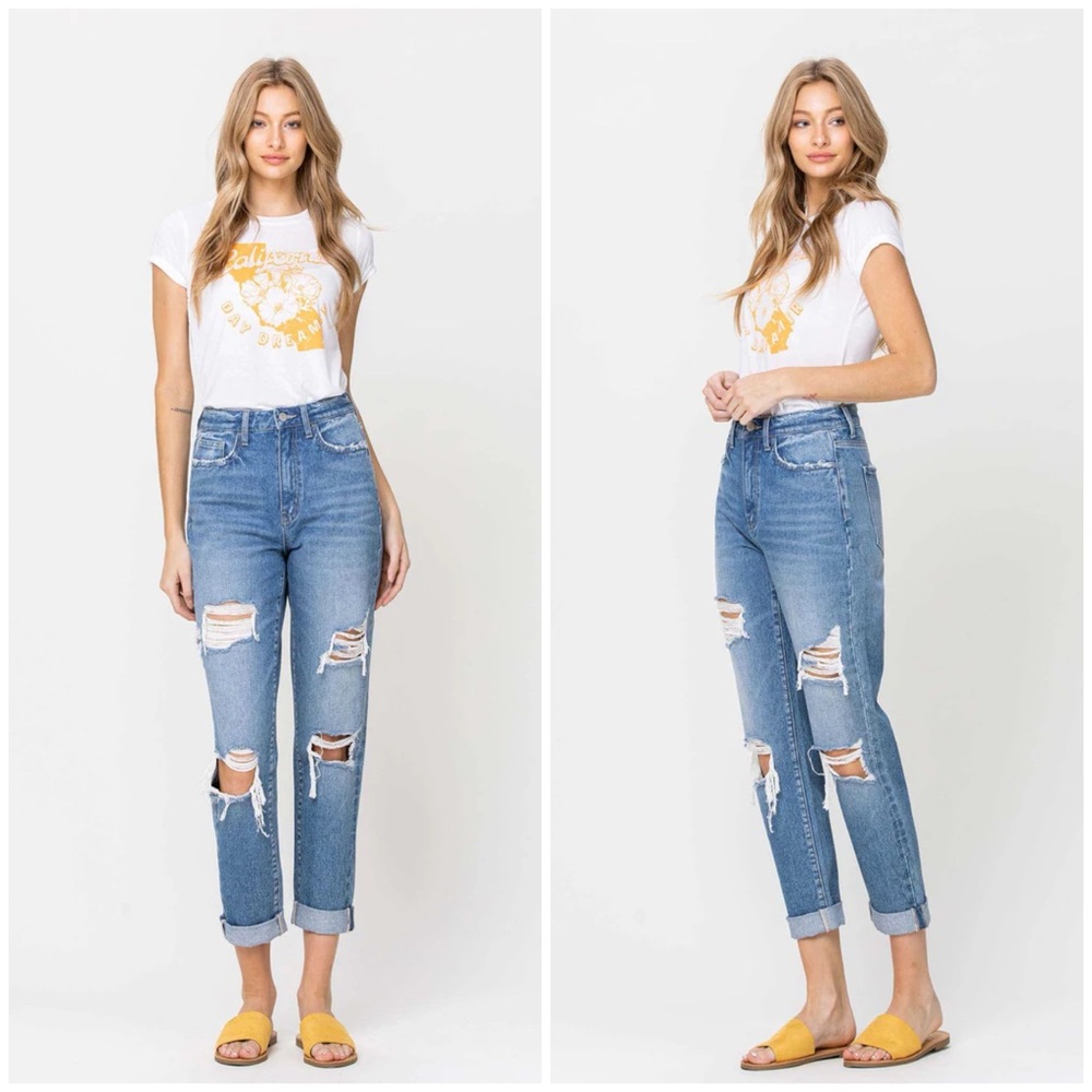 NWT Vervet Rigid Mom Jean (26)